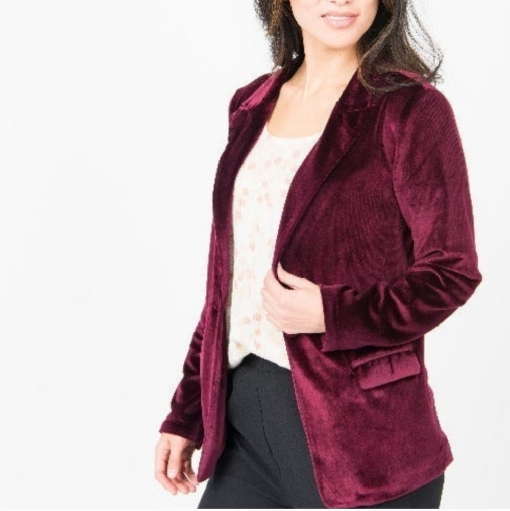 Agnes and dora velvet blazer size xxl